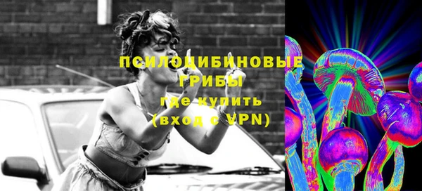 марки lsd Заводоуковск