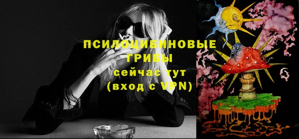 альфа пвп Заволжск