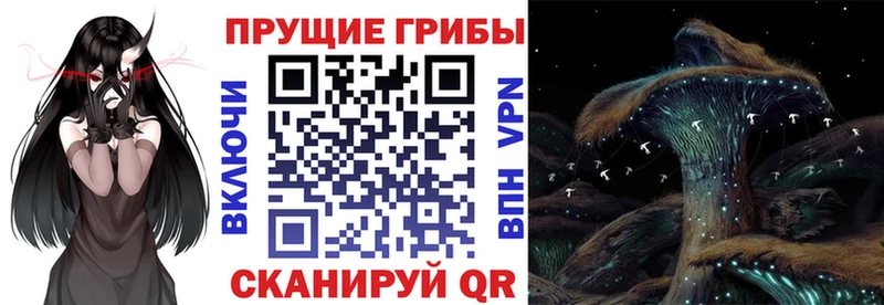 Галлюциногенные грибы прущие грибы Галич