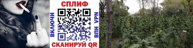 Конопля Amnesia  Купить закладки  Галич 